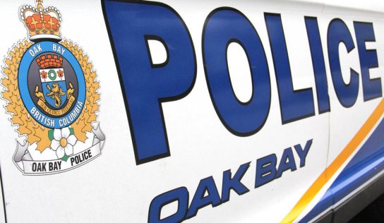 Driver fined $167 for running red light in Oak Bay crash – Victoria News
