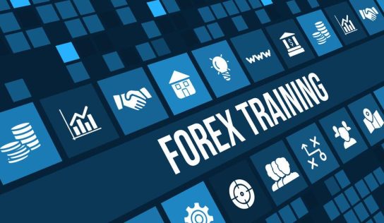 Thrills and Pitfalls of Forex and Cryptocurrency Trading | Ask The Experts
