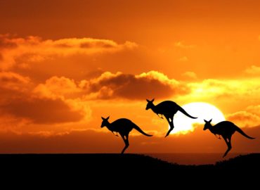 Scam alert: Australia warns of self-managed superannuation funds investing in crypto