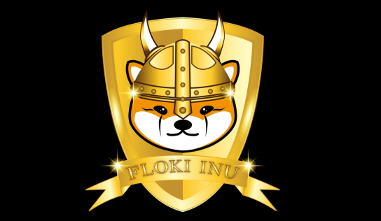Floki Inu Doesn’t Understand That ‘If You Build it They Will Come’