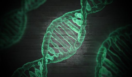 Gene discovered in Georgia water a possible global threat