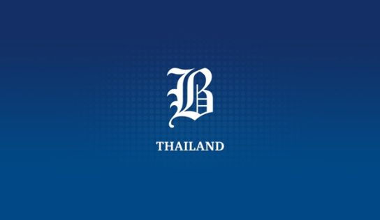 Chinese pair held for e-shop app scam