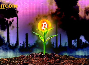 Bitcoin Against The World Order