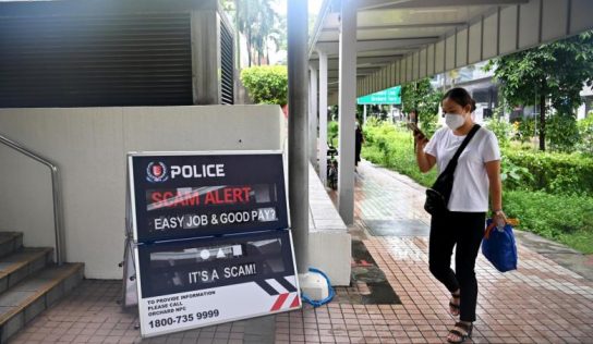 Police probe 303 alleged scammers, money mules over cases where victims lost more than $8.4 million