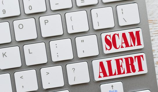 Diamond Shield Management Korea Report: Common Online Gaming Red Flags To Know