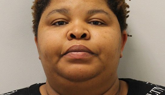 How a hitman, brothel owner and a drugs kingpin helped swindle up to £5billion in Covid-19 handouts