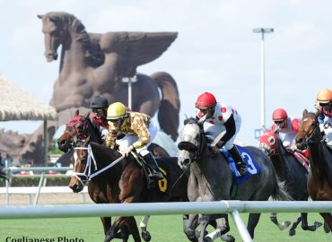Gulfstream Park: Mandatory Rainbow 6 Payout Yields Multiple $25k Payoffs    – Horse Racing News