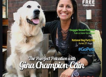 How San Diego Was Suckered into Gina Champion-Cain’s Ponzi Scheme