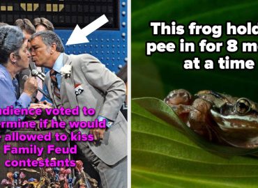 39 Interesting Facts I Learned In March