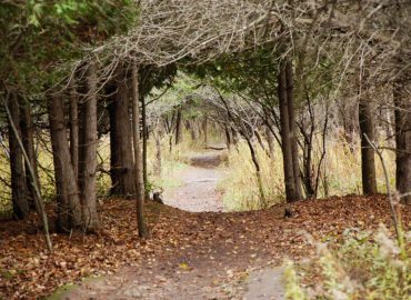 Land not cash: Council told to demand parkland from developers instead of cash-in-lieu