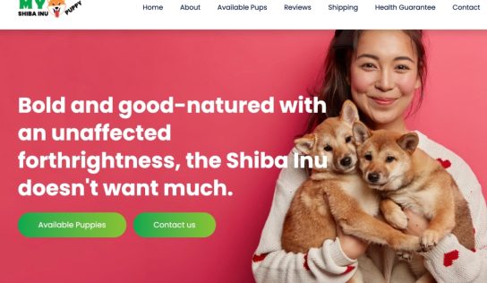 ‘Puppy scams’ exploit COVID pandemic and ‘the joy of pet adoption,’ Google says in lawsuit – Marin Independent Journal
