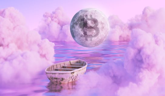 ARK Invest’s Cathie Wood Says Bitcoin Part of Wave of Disruptive Innovation, Compares BTC to Tesla, Amazon