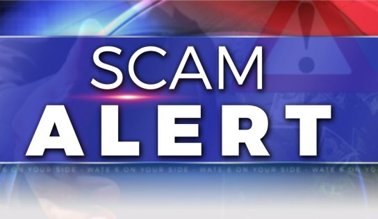 DMV warns of email scam seeking online payment