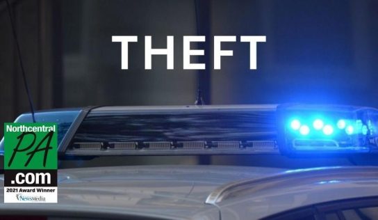 Man allegedly out-pizzas the Hut 11 times with credit card scam | News