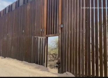 2 plead guilty in border wall scam