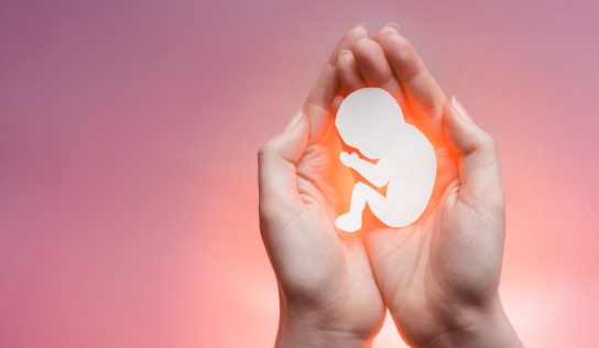 DAO For Abortion, Anyone? | Bitcoinist.com