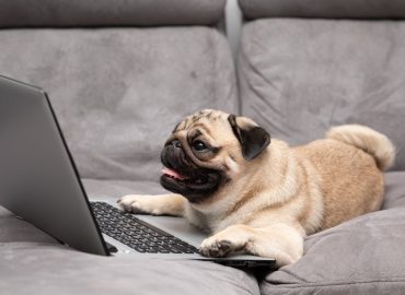 Voyager, Amazon, Costco, Walmart, and Louis Vuitton — Top Phishing Scams of the Week