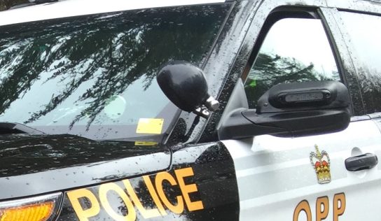 East region OPP detachments warn of ‘grandparent scam’