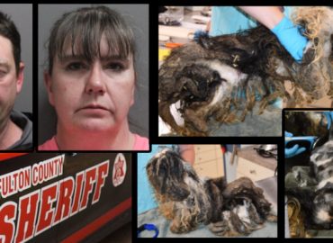 Police: Two accused of abandoning dogs in Ephratah; Woman charged also faces construction scam allegations