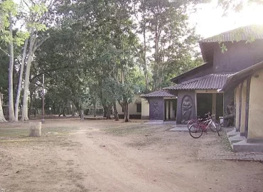 WBSSC scam: Land at Santiniketan purchased jointly by Partha, Arpita