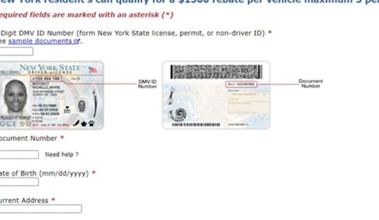 DMV warns of ‘phishing’ scam using fake website | Top Story