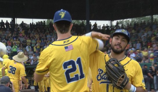 Avoiding online ticket scams for Savannah Bananas games