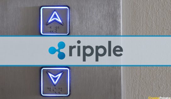 Ripple Soars 50% on SEC Trial News While Crypto Markets Shed $40 Billion: This Week’s Recap