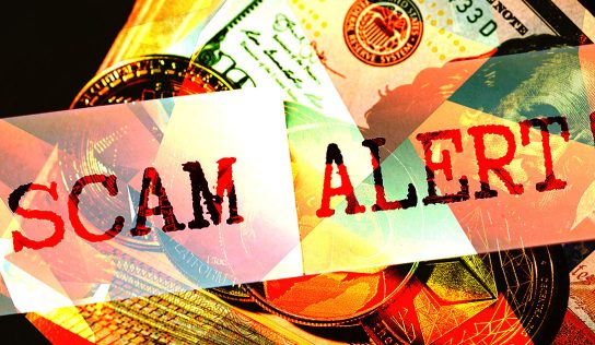 FatManTerra educates community on crypto scams by creating fake investment scheme