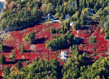 Scam – Boothbay Register