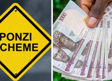 Top 7 critical signs to spot a Ponzi scheme before you are scammed