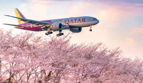 Amid World Cup criticisms, is it time for sport to be greener? | News | Eco-Business