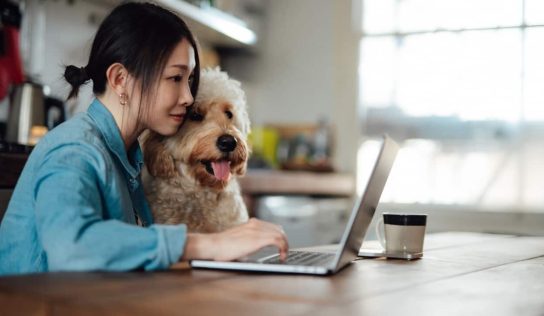 Fake charities and money muling: avoiding the risks with online donating and gift-giving