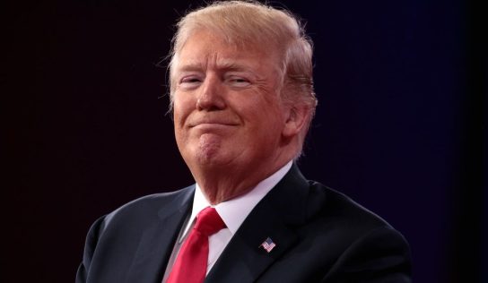 ‘Seems Like A Scam And In Many Ways It Is,’ Saturday Night Live Trolls Donald Trump NFT Collection – Ethereum (ETH/USD), Dogecoin (DOGE/USD)